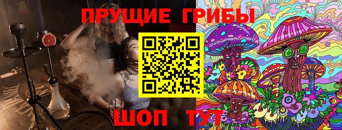 Волжск  Галлюциногенные грибы мухоморы  Вход с VPN 