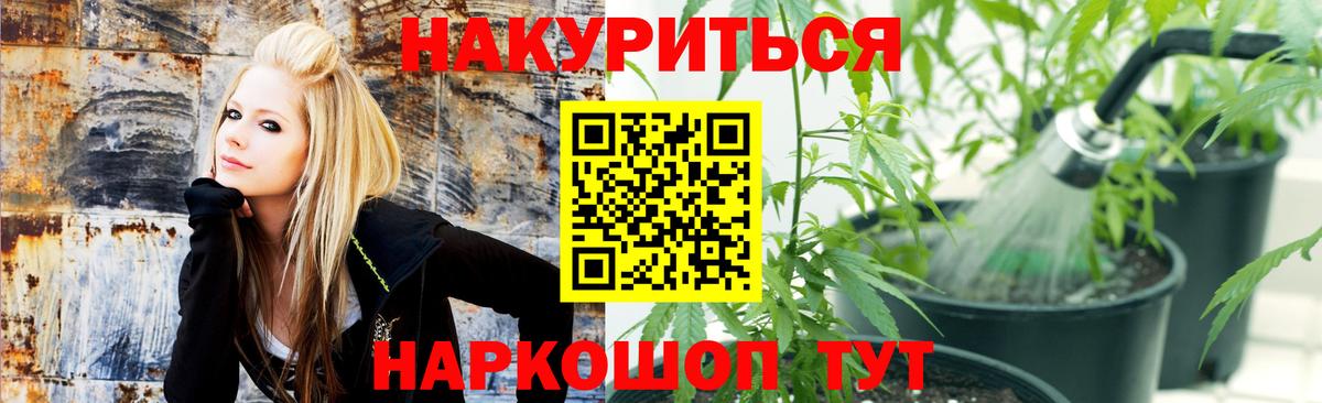 Каннабис сатива  Бошки Шишки конопля  Вход с VPN  Волжск 